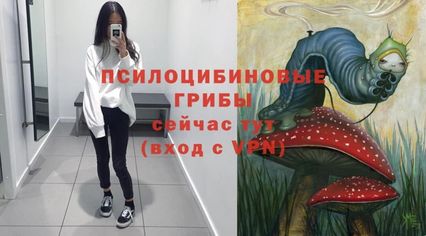 первитин Алексин