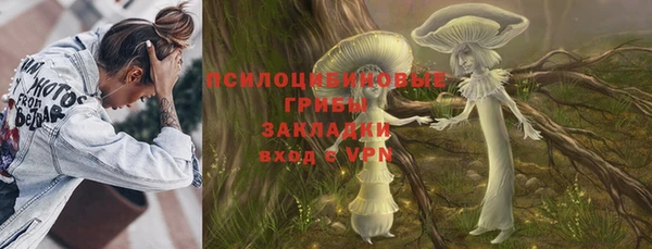 стаф Алексеевка