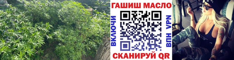 где можно купить   Сураж  ТГК жижа 